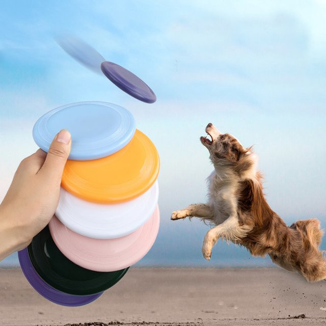 Otmagelu Fliegende Untertasse Hundespielzeug, 1-teiliges Set - Bild 1
