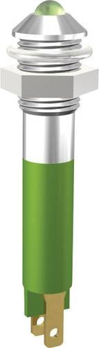 Signal Construct SMQD06414 LED-Signalleuchte Blau 24 V/DC 250 mcd in Messing-Optik - Bild 1