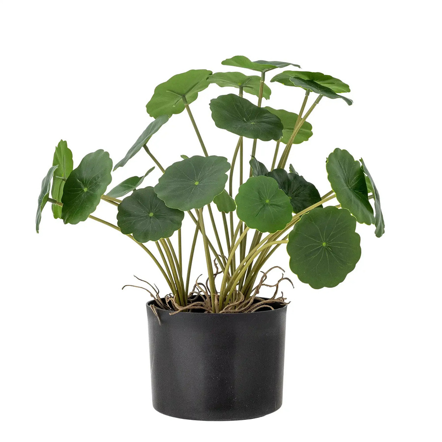 Bloomingville Topfpflanze Grün für den Tisch Höhe: 30,5 cm - Bild 1