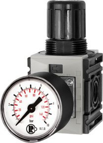 Riegler Druckregler FUTURA-mini mit Standardmanometer, Farbe Grau, Anschluss G 1/4, Druckbereich 0,5-8 bar - Bild 1