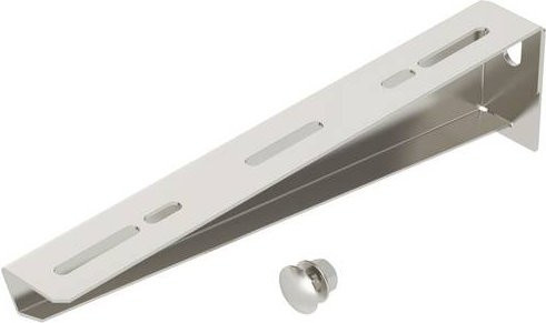 OBO Bettermann Wand- und Stielausleger Befestigungs-Set aus Edelstahl in Silber, 30 Stück, Länge: 310 mm, Breite: 38 mm - Bild 1