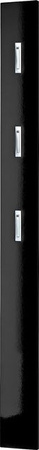 Germania Garderobenpaneel Susanna in Schwarz mit 3 Haken, B/T/H: 15 x 30 x 170 cm