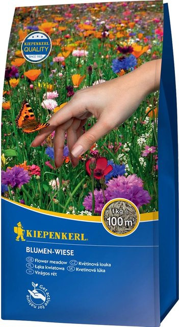 Kiepenkerl Blumensamen Blumen-Wiese bunt, 1 kg - Bild 2