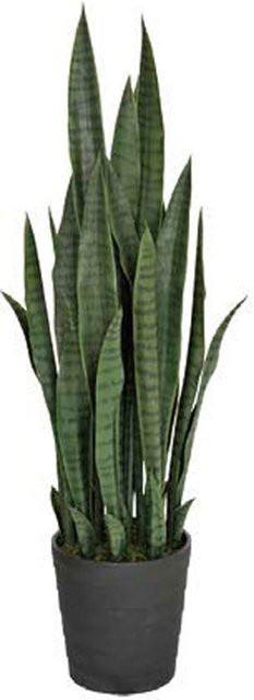 Intergard Kunstpflanze Sansevieria in Grün mit Topf, Höhe: 105 cm - Bild 1
