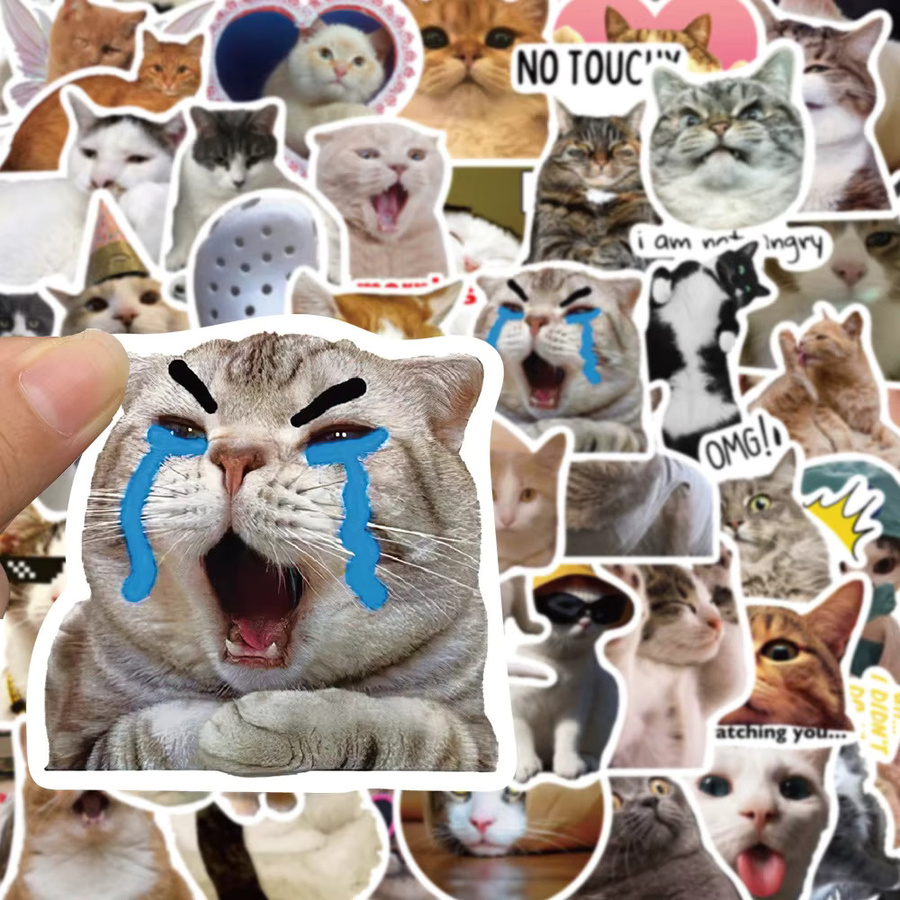 Rspctou Katzen-Meme Aufkleber Set, bunte Cartoon-Graffiti-Sticker für Computer, Koffer und Handy, wasserfest und dekorativ - Bild 3