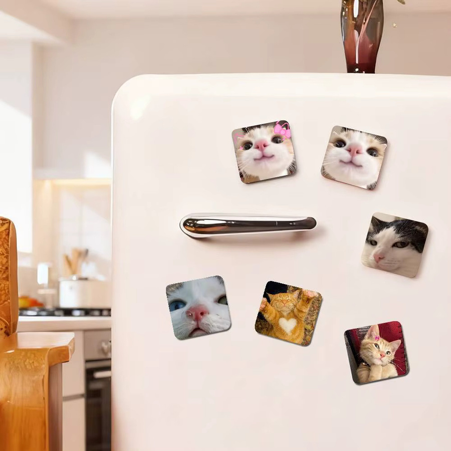 Lustige Katze Memes Kühlschrankmagnete in Multicolor als Cartoon Tiermagnete zur Kühlschrankdekoration - Bild 2