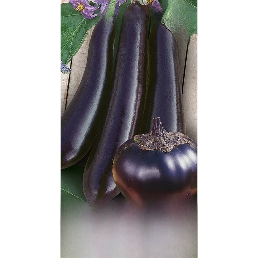 WegAna Auberginenmischung Gemüsesamen 1 g - Bild 3