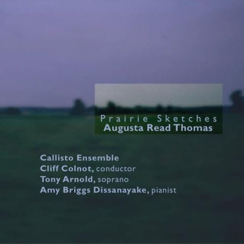 CD Prärieskizzen von Verschiedene, Musik Album aus dem Jahr 2005, Farbe: Grau/Mehrfarbig, Gebraucht - Bild 1