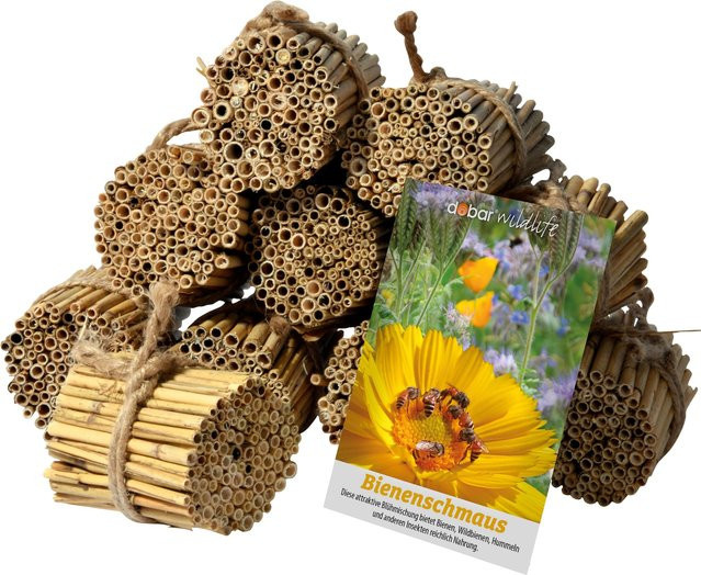 dobar green label Schilfrohrhalme-Set für Insektenhotels inklusive Samenmischung Bienenschmaus - Bild 1