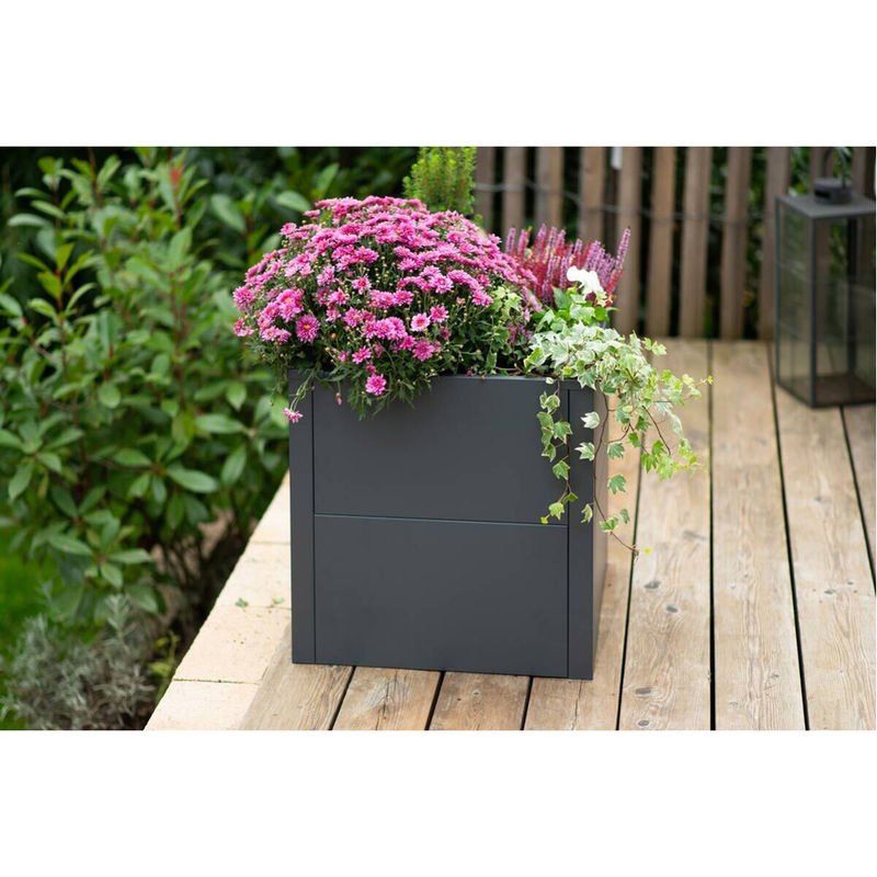 Westmann Metall Pflanzkübel Talus S Anthrazit B/H/L: 50 x 50 x 50 cm - Bild 7