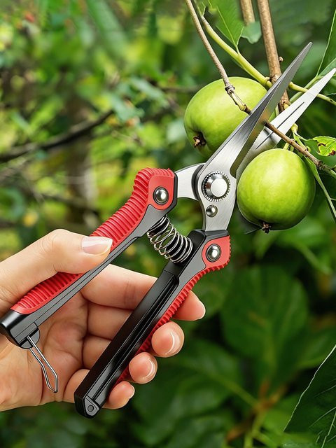 NEWSHARK Edelstahl-Gartenschere in Rot mit rutschfestem Griff als scharfe Astschere für Obstbäume, Bonsai und zum Trimmen im Garten - Bild 1