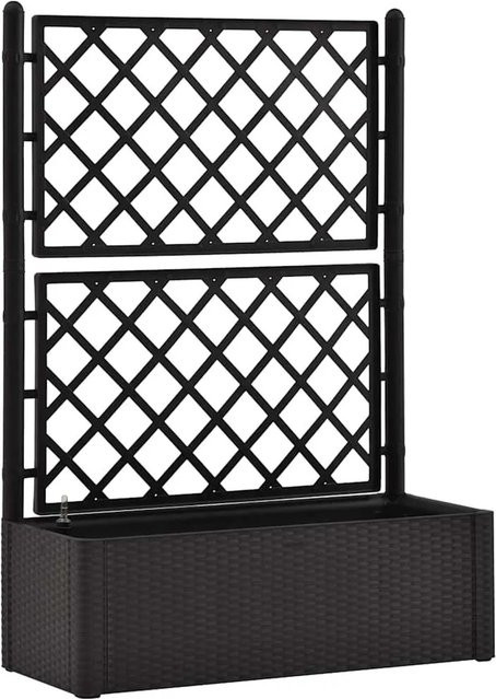 DELUKE Rankkasten BAYO Pflanzgefäß mit Selbstbewässerungssystem in Anthrazit, Hochbeet mit Rankhilfe für Innen- und Außenbereich, B/T/H: 100 x 43 x 142 cm - Bild 1