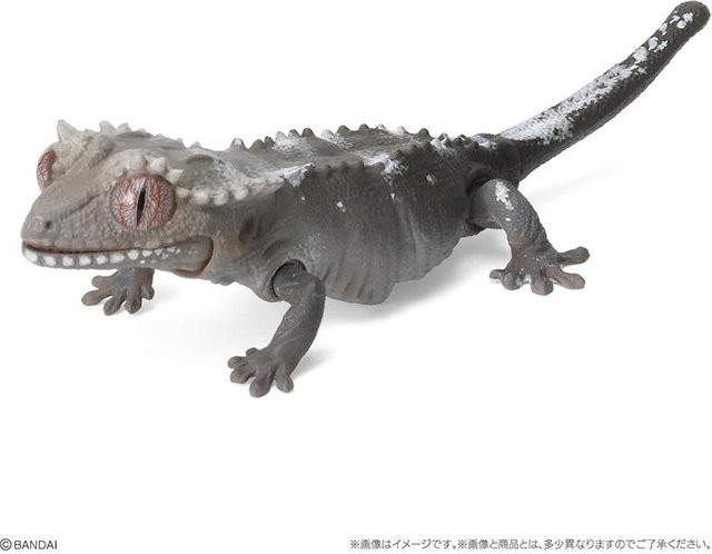 Yiran toy 1 Biologischer Atlas Ameiva Correlophus Ciliatus, Actionfigur, ab 18 Jahren - Bild 1