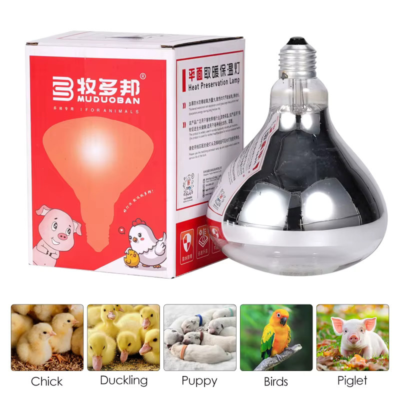 JIECARE Tierzucht-Isolierlampe aus Glas in Weiß mit E27 Fassung und 220 V für Infrarot-Wärmeanwendungen bei Geflügelbrütern und Küken - Bild 2