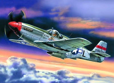ICM P-51C Mustang, Fahrzeuge - Bild 1