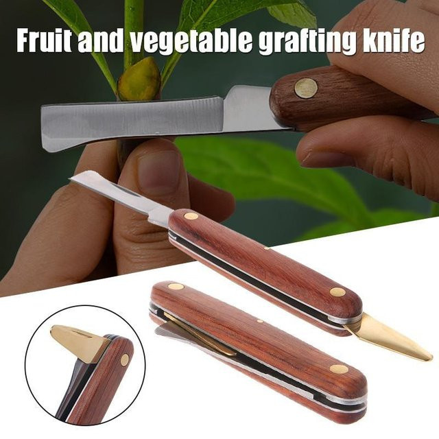 Ambiel Charm Pfropfmesser aus Edelstahl mit Holzgriff in Braun für professionelle Gartenarbeit und Baumbeschneidung - Bild 1