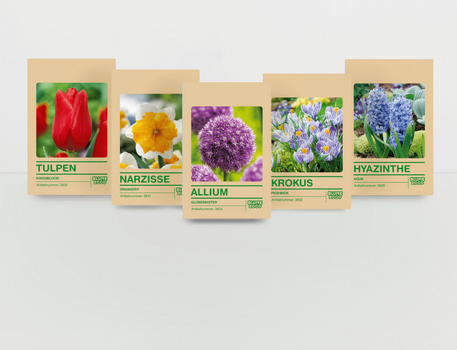 Blumenzwiebel Set Von allem etwas von BLUME2000 mit 41 Zwiebeln für deinen Garten - Bild 1