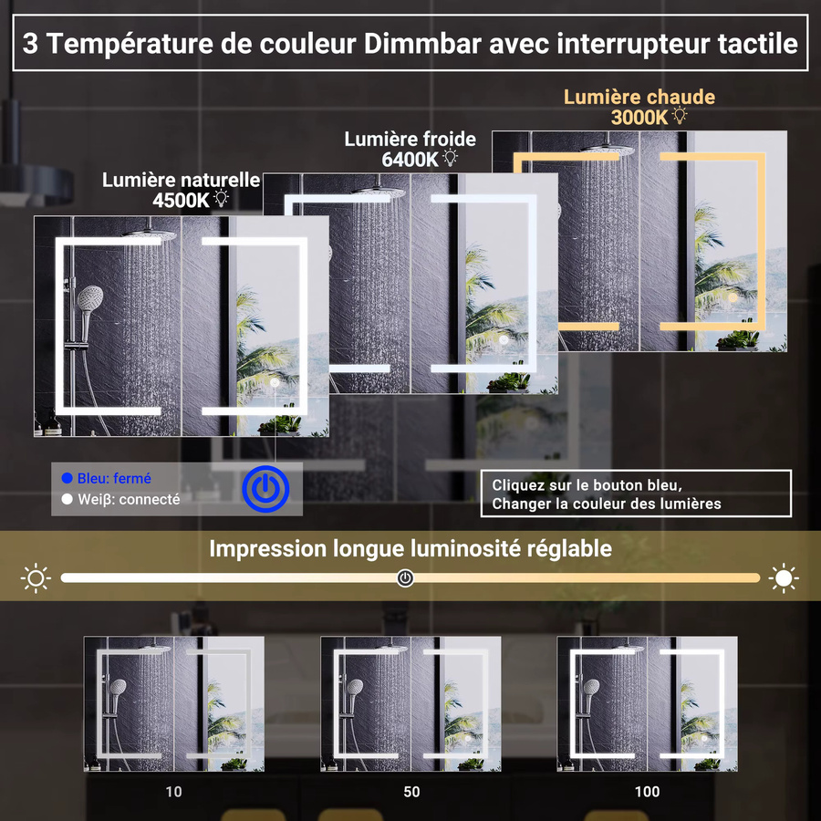Fangange LED-Badezimmerspiegelschrank in Silber, wandmontierter Spiegelschrank aus Edelstahl mit Touch-Steuerung, dimmbarer LED-Beleuchtung und 3 Farbtemperaturen, Doppeltür mit verstellbaren Glasregalen - Bild 3