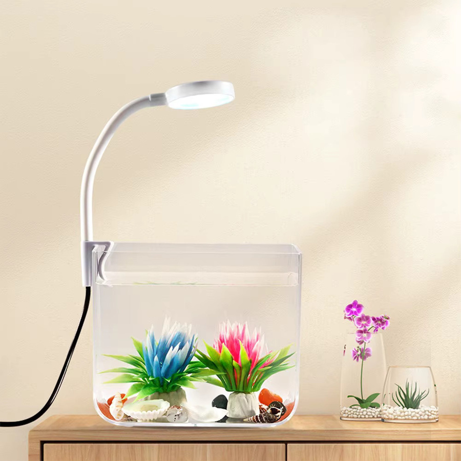 HiMISS Quadratisches Aquarium-Starter-Set mit Klemmleuchte und rutschfester Basis in Transparent - Bild 2