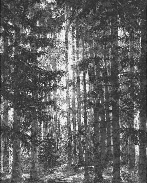 Komar Fototapete Lustres Lapland aus Qualitätsvlies in Schwarz-weiß, Breite: 200 cm, Höhe: 250 cm - Bild 1