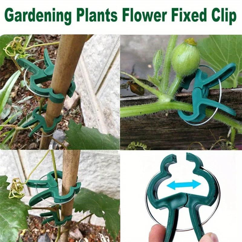 100 Stück verstellbare Pflanzenfixierclips von YWZT Home Depot in Grün zur Befestigung von Blumen, Ranken und Tomaten im Garten - Bild 6