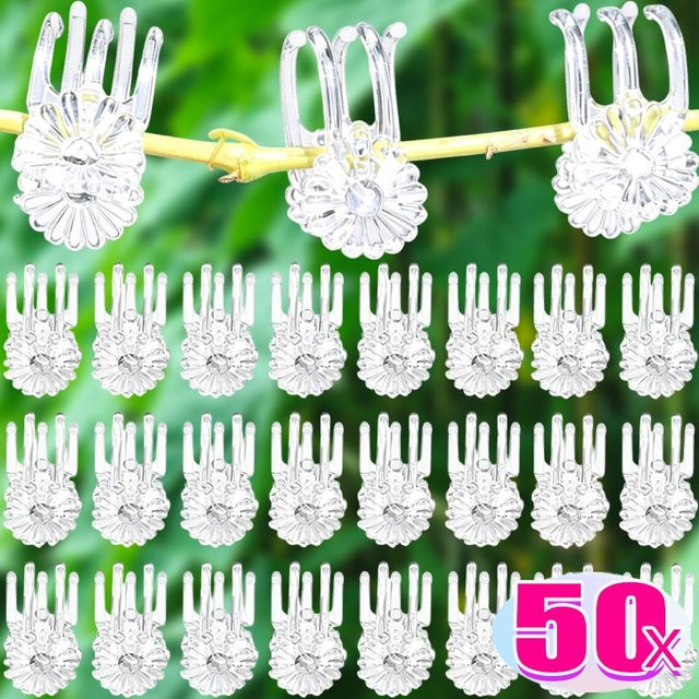 Wiederverwendbare Orchideen-Pflanzenstützclips aus transparentem Kunststoff zur Befestigung von Kletterpflanzen und Gartenranken, 30 Stück - Bild 1