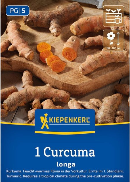 Kiepenkerl Kurkuma-Samen für den Garten und Zimmerpflanzen - Bild 1