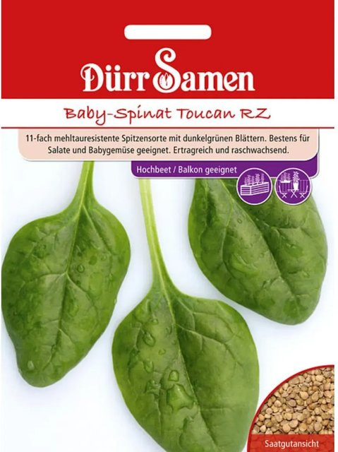 Dürr Babyspinat Toucan RZ Saatgut 1500 g - Bild 1