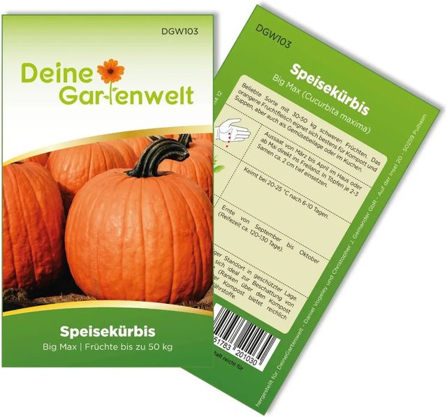 Deine Gartenwelt Big Max Speisekürbis Samen - Bild 1