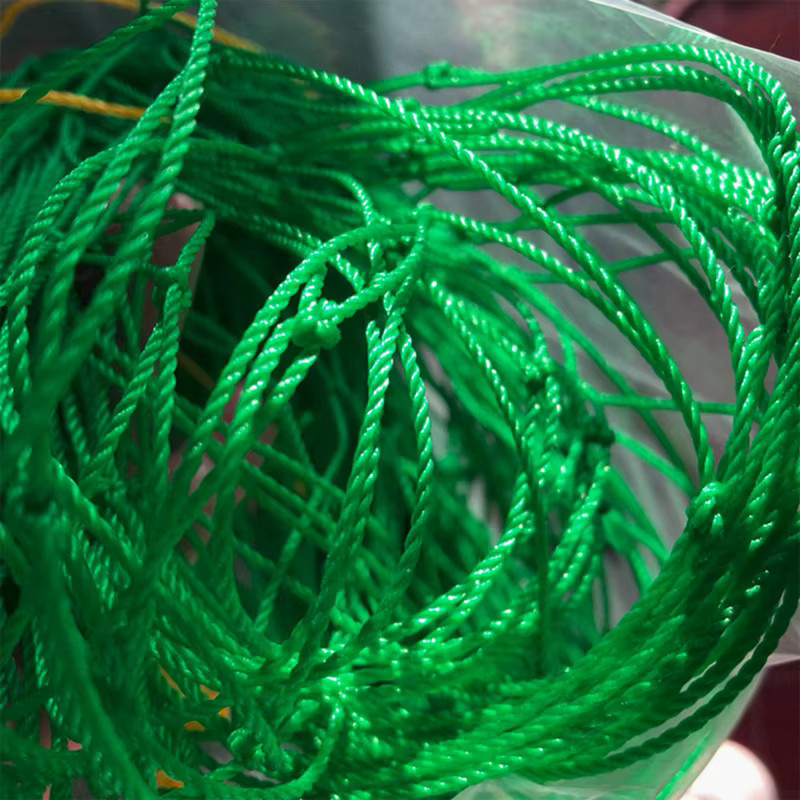 Grünes Nylon-Gartengitter als Kletternetz zur Unterstützung von Kletterpflanzen wie Gurken, Tomaten und Trauben - Bild 3