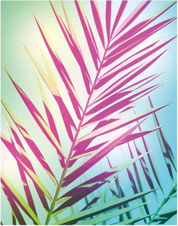 Komar Wandbild Shine Multicolor B: 40 cm, H: 50 cm