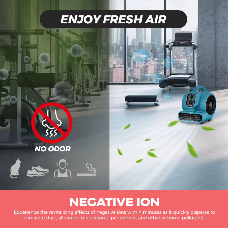 XPower P-250NT Negativ-Ionen Bodenventilator in Blau mit Timer zur Wasserschadensanierung und Teppichtrocknung - Bild 4