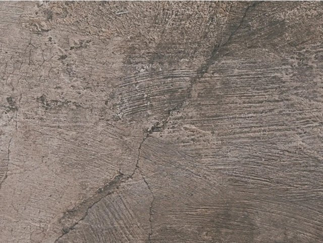 Bodenfliese Feinsteinzeug United Tile und Mosaic in Anthrazit mit Holzoptik, B/T: 30 x 120 cm - Bild 1