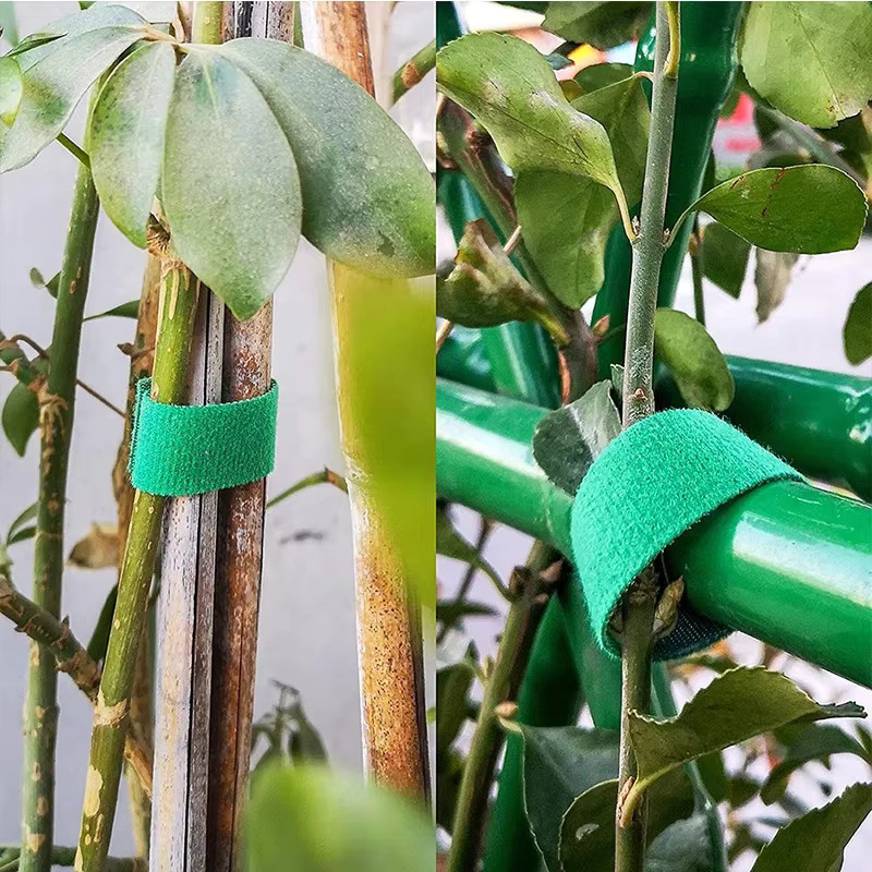 3 Rollen Pflanzenschnur aus Nylon in Grün und Rot zur Unterstützung deiner Pflanzen und zur Befestigung an Bambusrohren - Bild 5