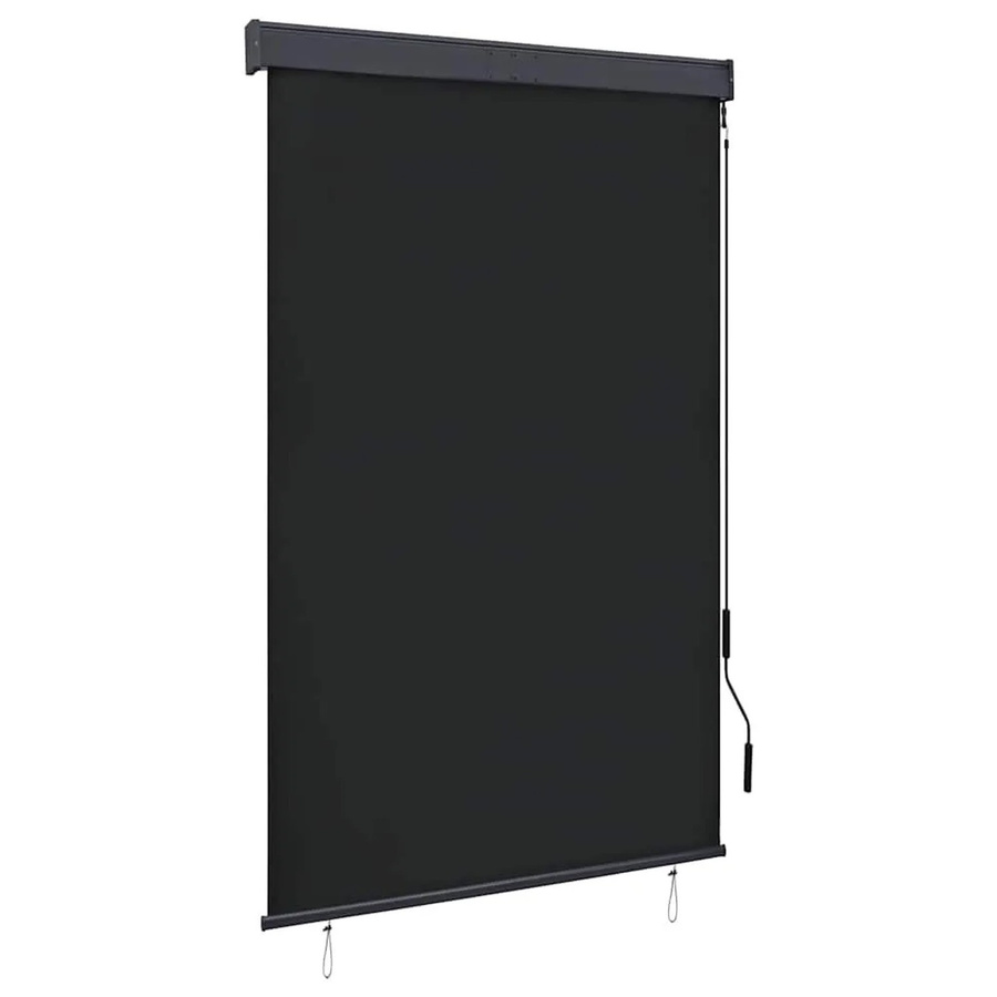 vidaXL Außenrollo Anthrazit mit Kurbel, B/H: 120 x 250 cm - Bild 2