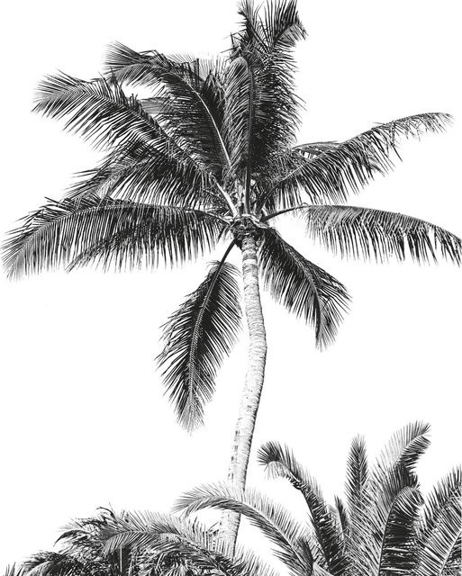 Komar Vliesfototapete Retro Palm in Multicolor, Breite: 200 cm, Höhe: 250 cm - Bild 1