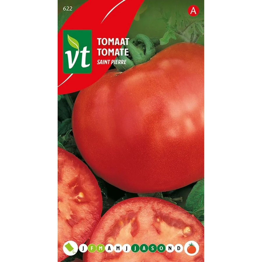 Arborix Tomate Saint Pierre Gemüsesamen für Garten, Gewächshaus oder Balkon, 0,5 g - Bild 2