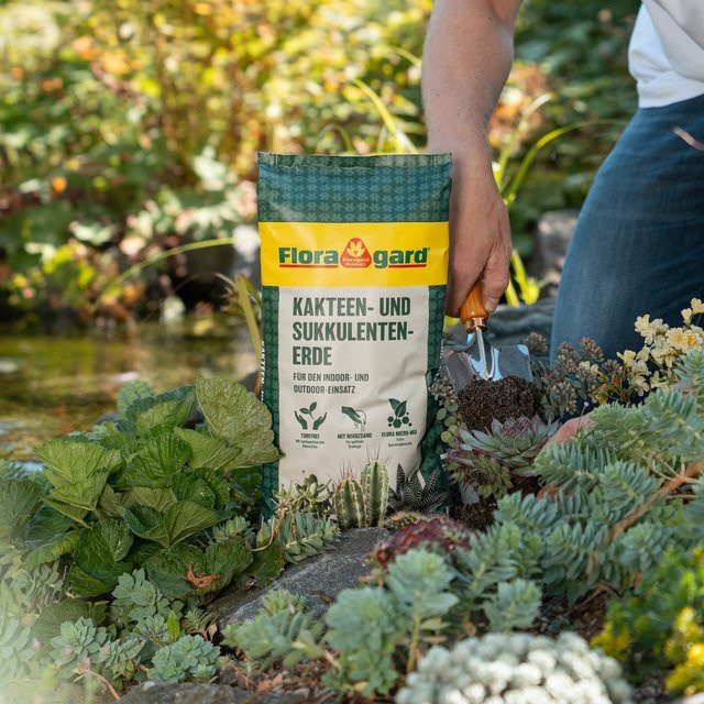 Floragard Kakteen- und Sukkulentenerde Spezialsubstrat, 2 x 18 l - Bild 1