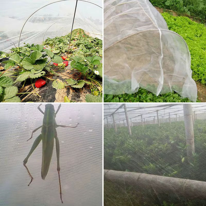 Insektenschutznetz für Garten und Gemüse als Abdeckung zum Schutz von Pflanzen und Blumen, Weiß, Länge: 10 m - Bild 5