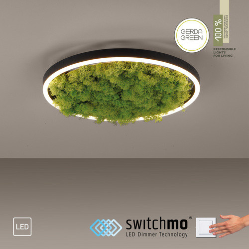 JUST LIGHT LED-Deckenleuchte GREEN RITUS, rund, Moos, Farbe: Grün, Durchmesser: 39,3 cm - Bild 2