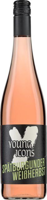 Young Icons Roséwein Pinot Noir 2025, Rheinhessen, halbsüß, 0,75 l - Bild 1
