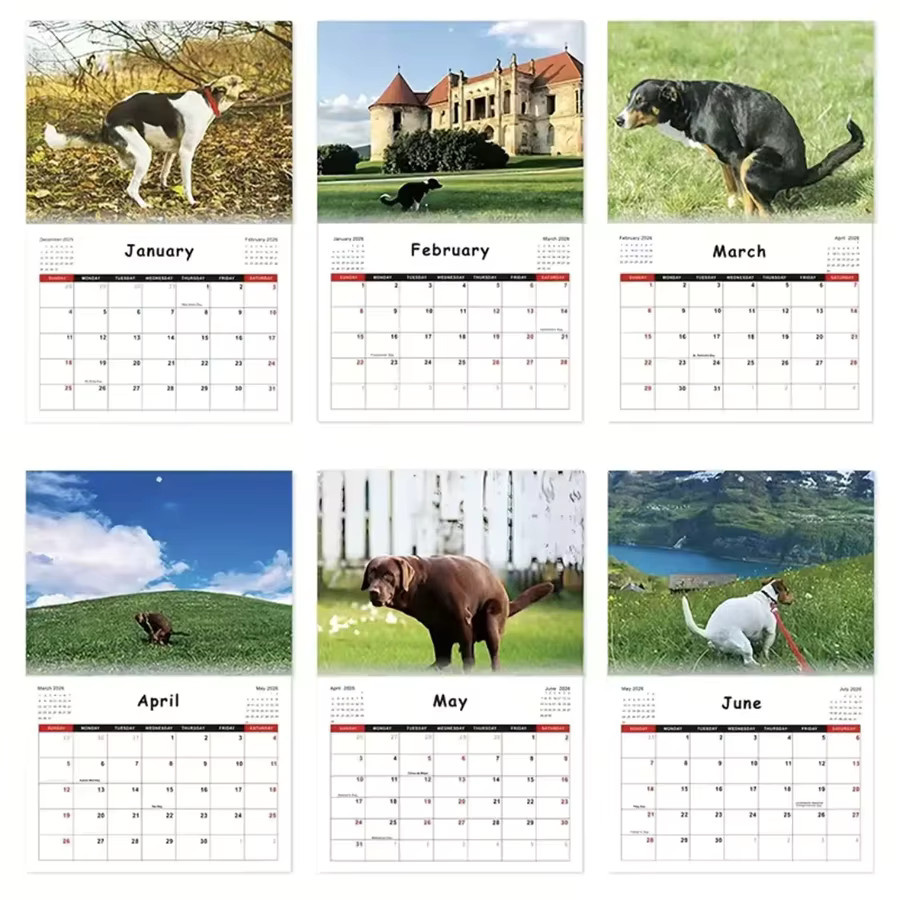 Lustiger Hundekot-Kalender 2026 Monatsplaner mit humorvollen Hundeszenen in Weiss und Multicolour, Breite: 25,0 cm, Höhe: 19,0 cm, Tiefe: 1,0 cm - Bild 2