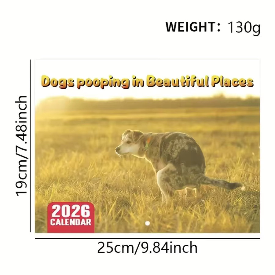 Lustiger Hundekot-Kalender 2026 Monatsplaner mit humorvollen Hundeszenen in Weiss und Multicolour, Breite: 25,0 cm, Höhe: 19,0 cm, Tiefe: 1,0 cm - Bild 4