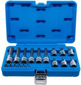 BGS Bit-Einsatz-Satz 18-teilig mit T-Profil TX für Antrieb Innenvierkant 6,3 mm (1/4") und 12,5 mm (1/2") in Blau - Bild 1