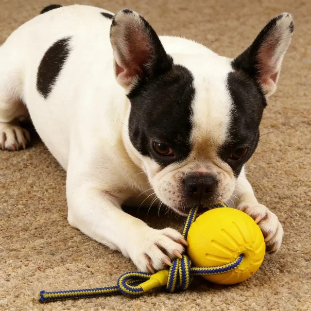 DUTRIEUX Hundespielzeug, Schwimmendes Seilball, EVA-Schaum - Bild 1