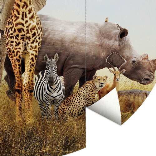 K&L Wall Art Runde Vliestapete Afrika Safari Tiere mehrfarbig matt - Bild 3