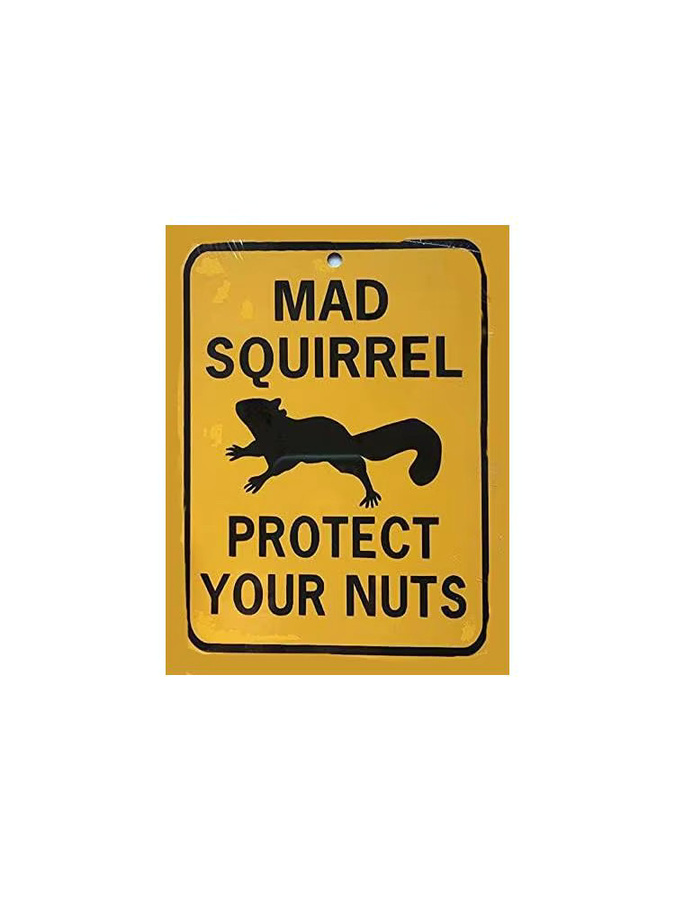 Eeypy Warnschild Mad Squirrel Protect Your Nuts aus Aluminium in Gelb, B/H: 20 x 20 cm - Bild 2
