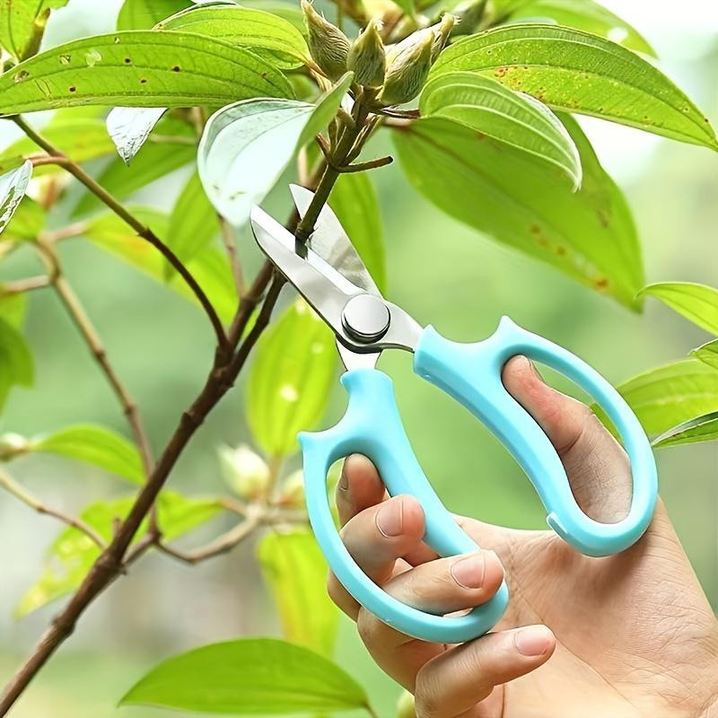 DHDH Gartenschere aus Edelstahl mit breiter Klinge in Blau für Blumengestecke und Rückschnitt - Bild 3