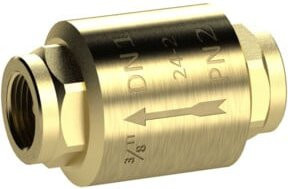 Riegler Rückschlagventil aus Messing in Gold, voller Durchgang, G 1 1/2 - Bild 1