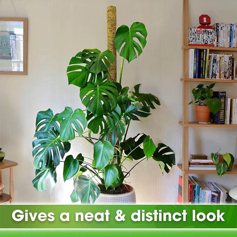 Biegbare Pflanzen-Kletterhilfe als Moosstange für Monstera und Palmen, braun, Höhe: 60-100 cm - Bild 2